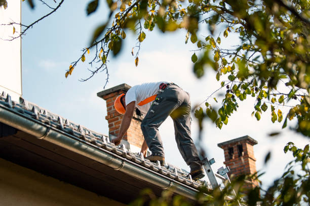 Best Roof Coating and Sealing  in Taylorvle, IL