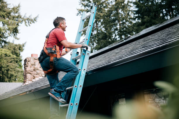 Best Green or Eco-Friendly Roofing Solutions  in Taylorvle, IL